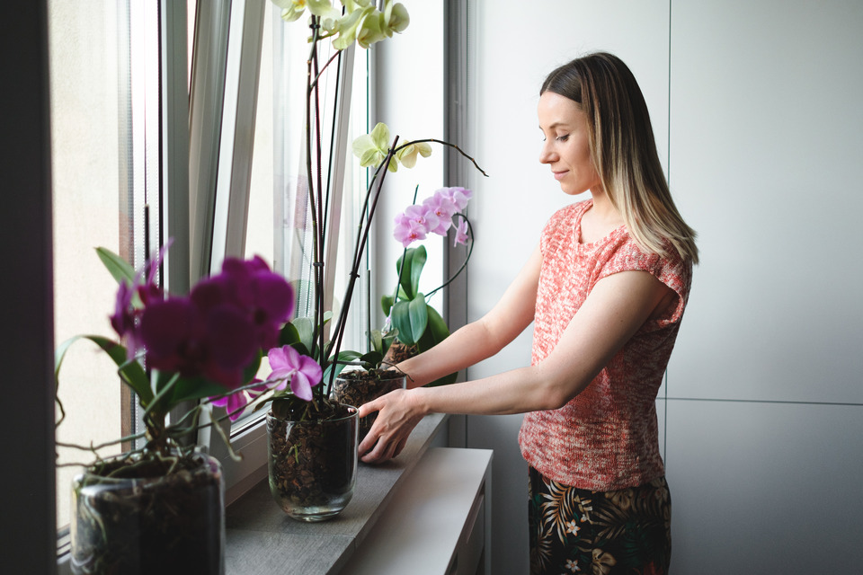 Kobieta układa kwiaty storczyki na parapecie w domu